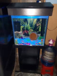 1.5 ft aquarium