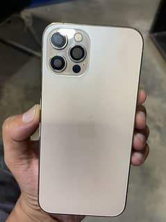 iPhone 12 Pro body gold colour