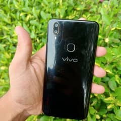 vivo