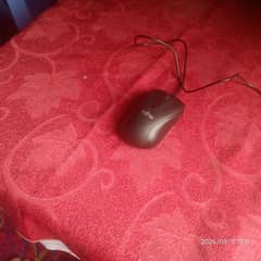 laptop and computer mouse