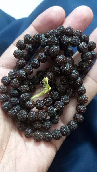 Rudrakhsha Mala Braclet 109 beads 5 mukhi 1