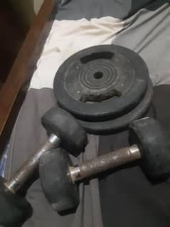 dumbbell and plates