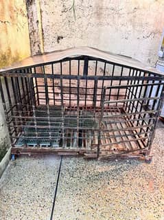 Dog / Hen Cage pinjra available for sale