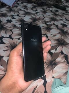 Vivo