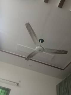 fan for sell