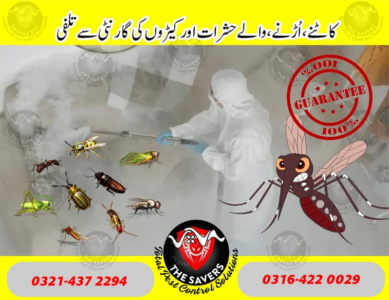 Heat Proofing/Water Proofing / Termite Control service / Dengue spray 2