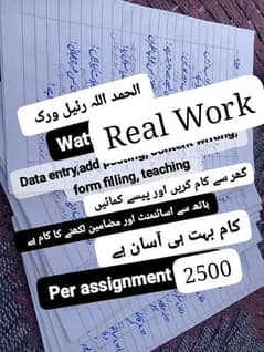 Handwritten Assignment Content Writing And Data Entry Work