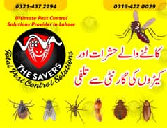 Pest control /Termite control / Fermite control /Bed Bugs contro