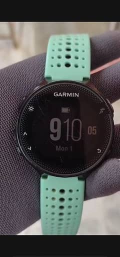 Garmin