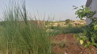 Residential Plot for Sale zamar Valley