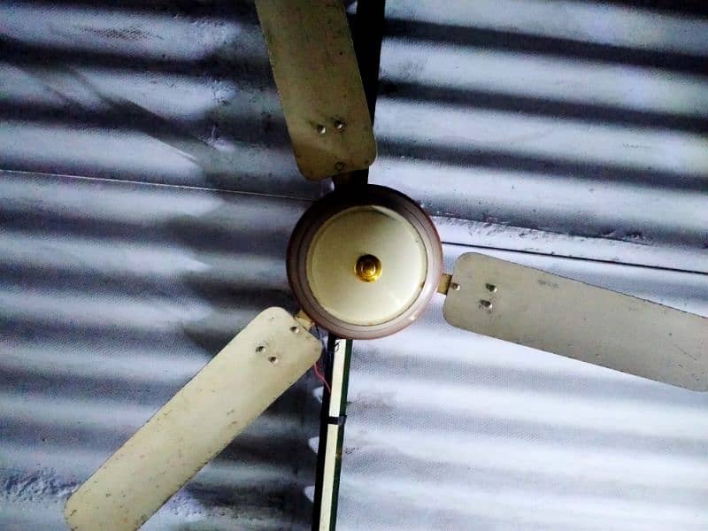 Rado Ceiling Fan 0