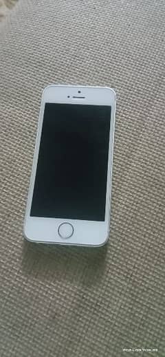 iphone 5s (nonpta)