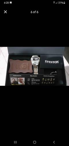 Sveston IronMan Stainless Steel Watch