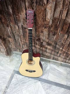 Olive tree guiter 0