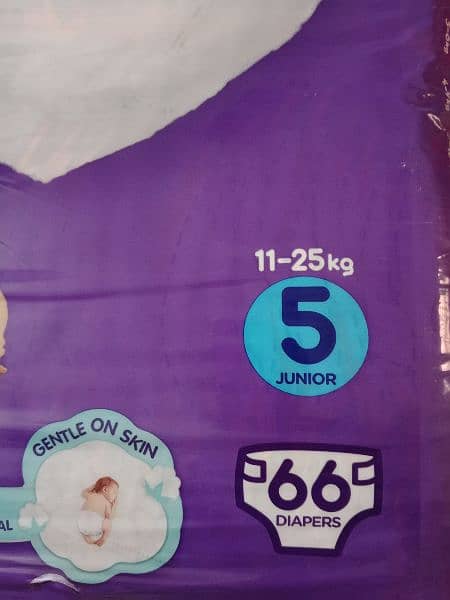 CANBEBE 66 baby diapers 5 Junior size in discounted price 6