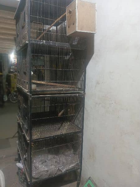 4 portion Cage For Sale 1