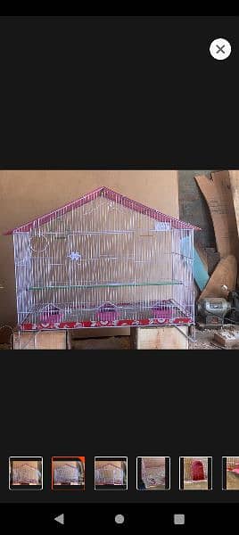 breading boxes incubator brueder seeds cleaner iron cage 4