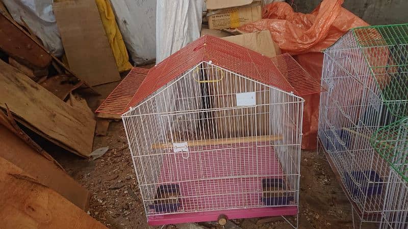 breading boxes incubator brueder seeds cleaner iron cage 9