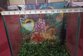 Only Aquarium complete setup new 0