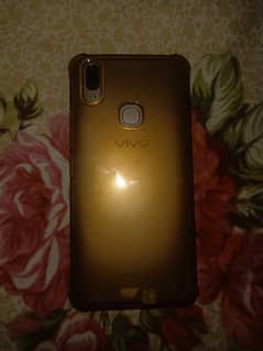 vivo