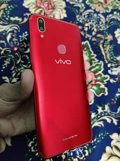 vivo