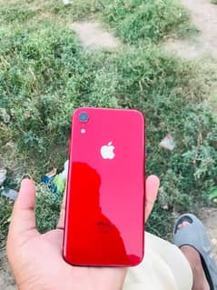 Iphone XR Non Pta 128 GB