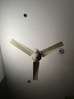 ceiling fan