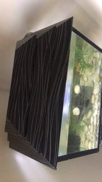 fish aquarium medium size . 2