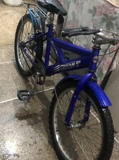 20” cycle