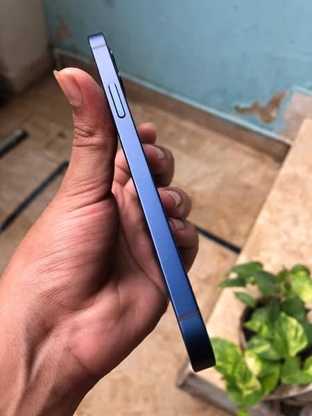 iPhone 12 Factory Unlock Waterpack sealed pacific blue 2