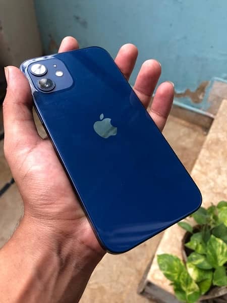 iPhone 12 Factory Unlock Waterpack sealed pacific blue 4