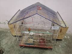 Fisher parrots 2 pairs with cage and boxes