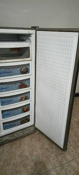 Dawlance Upright Freezer 6