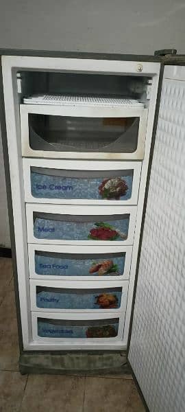 Dawlance Upright Freezer 7