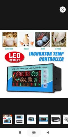 XM18 Incubator Controller Thermostat Full Automatic Pakistan XM-18 /