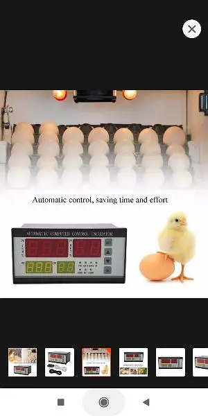 XM18 Incubator Controller Thermostat Full Automatic Pakistan XM-18 / — photo 6