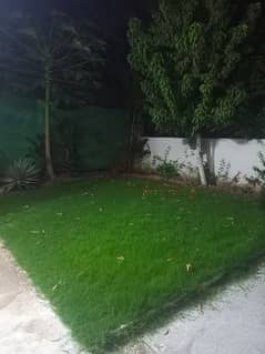 Fully independent House for Rent in F10