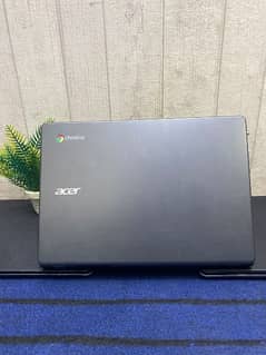 Acer