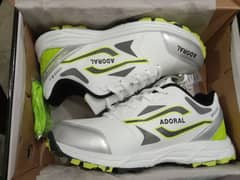 Imported Cricket Shoes