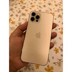 iPhone 12 Pro Max Gold color contact whatsp 0341:5968:138