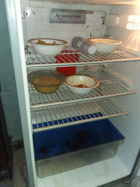 pel*  fridge very good condition 10