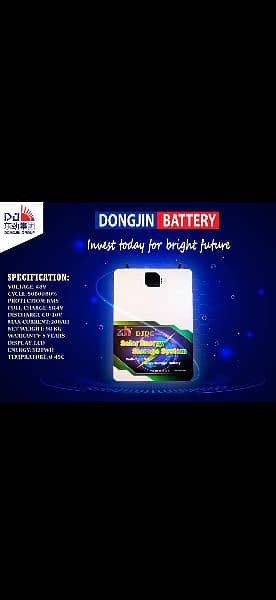 Dongjin Lithium Battery (48-100Ah) 2