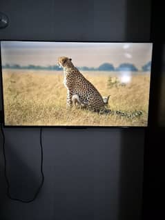 TCL IFFALCON 43 inch 4k smart Google TV