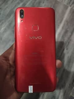 vivo