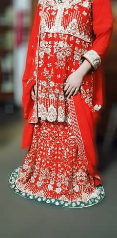 wedding dress/bridal dress/red bridal lehnga/barat lehnga/Traditional