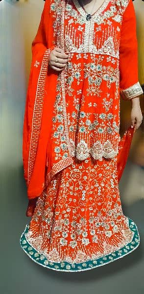 wedding dress/bridal dress/red bridal lehnga/barat lehnga/Traditional 1