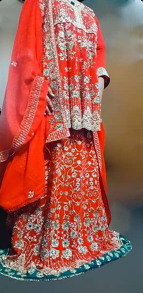 wedding dress/bridal dress/red bridal lehnga/barat lehnga/Traditional 2