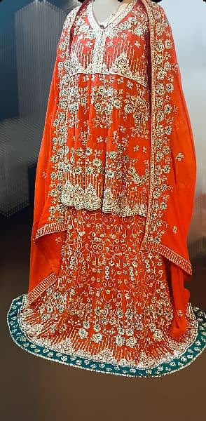 wedding dress/bridal dress/red bridal lehnga/barat lehnga/Traditional 4