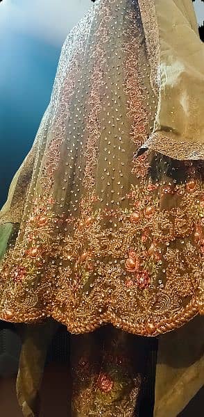 wedding dress/Embroidery Frock/walima maxi/party wear/long frock/dress 2