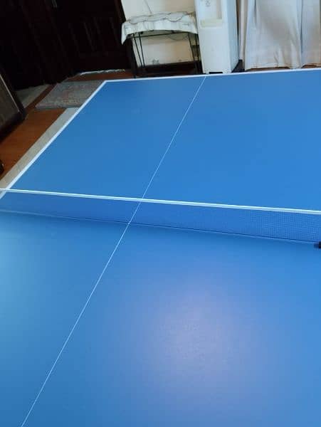 Table tennis table 2